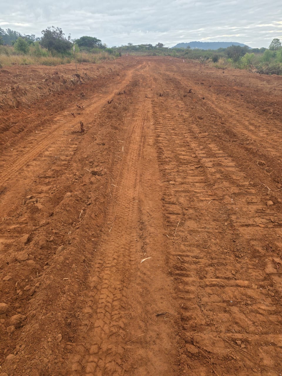 Road formation work at The Nest of Chipinge development site